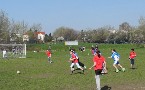 kliknij, aby zobaczyae powiekszenie