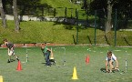 kliknij, aby zobaczy powikszenie