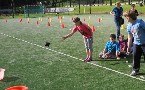 kliknij, aby zobaczy powikszenie