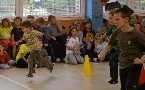 kliknij, aby zobaczy powikszenie