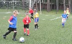 kliknij, aby zobaczy powikszenie