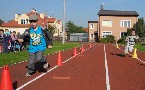 kliknij, aby zobaczy powikszenie