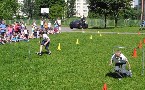 kliknij, aby zobaczy powikszenie