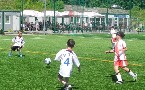 kliknij, aby zobaczy powikszenie