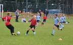 kliknij, aby zobaczy powikszenie