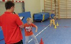 kliknij, aby zobaczy powikszenie