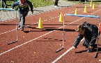 kliknij, aby zobaczy powikszenie