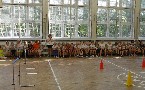 kliknij, aby zobaczy powikszenie