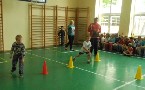 kliknij, aby zobaczy powikszenie