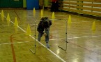 kliknij, aby zobaczy powikszenie