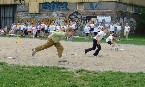 kliknij, aby zobaczy powikszenie