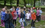 kliknij, aby zobaczy powikszenie