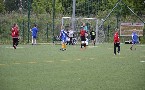 kliknij, aby zobaczy powikszenie