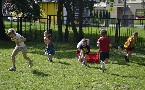 kliknij, aby zobaczy powikszenie