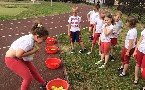 kliknij, aby zobaczy powikszenie
