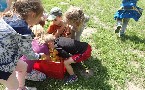 kliknij, aby zobaczy powikszenie