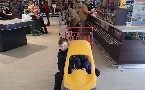 kliknij, aby zobaczy powikszenie