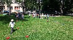 kliknij, aby zobaczy powikszenie