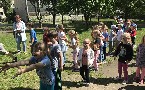 kliknij, aby zobaczy powikszenie