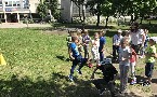 kliknij, aby zobaczy powikszenie