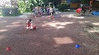 kliknij, aby zobaczy powikszenie