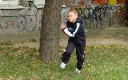 kliknij, aby zobaczy powikszenie