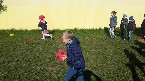 kliknij, aby zobaczy powikszenie