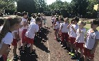 kliknij, aby zobaczy powikszenie