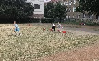 kliknij, aby zobaczy powikszenie