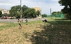 kliknij, aby zobaczy powikszenie
