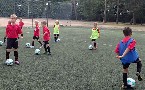 kliknij, aby zobaczy powikszenie