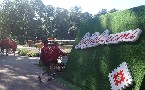 kliknij, aby zobaczy powikszenie