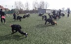 kliknij, aby zobaczy powikszenie