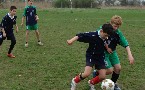 kliknij, aby zobaczyae powiekszenie