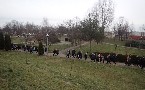 kliknij, aby zobaczy powikszenie