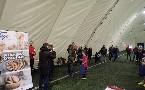 kliknij, aby zobaczy powikszenie