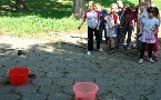 kliknij, aby zobaczy powikszenie