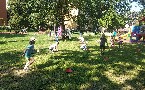 kliknij, aby zobaczy powikszenie