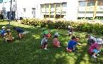 kliknij, aby zobaczy powikszenie