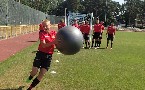 kliknij, aby zobaczy powikszenie