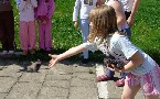 kliknij, aby zobaczy powikszenie
