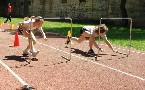 kliknij, aby zobaczy powikszenie