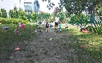 kliknij, aby zobaczy powikszenie