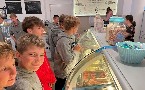kliknij, aby zobaczy powikszenie