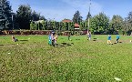 kliknij, aby zobaczy powikszenie