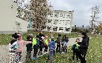 kliknij, aby zobaczy powikszenie