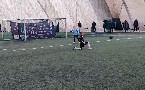 kliknij, aby zobaczy powikszenie