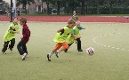 kliknij, aby zobaczy powikszenie