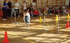 kliknij, aby zobaczy powikszenie