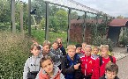 kliknij, aby zobaczy powikszenie